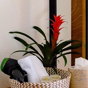 Design Doppelzimmer